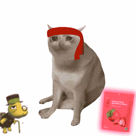 Cash Cat #9991