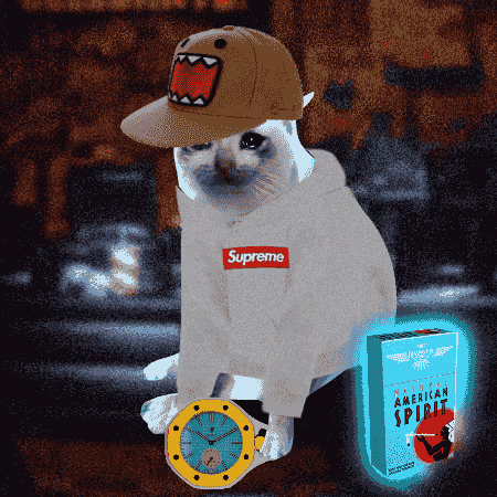 Cash Cat #9995