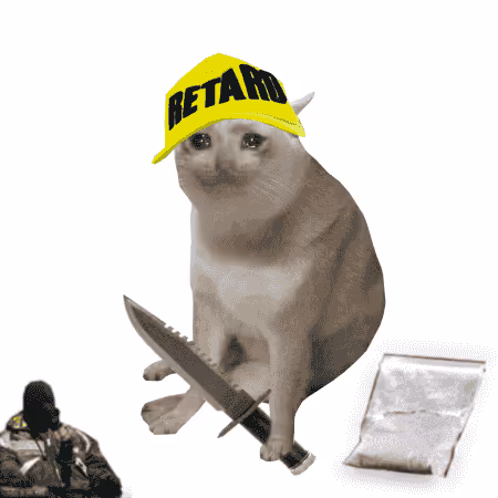 Cash Cat #9996