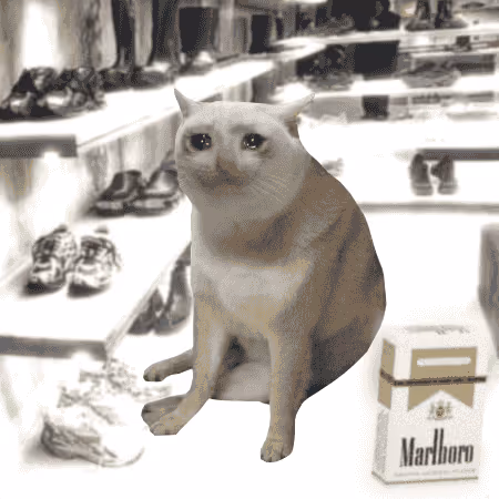 Cash Cat #9999